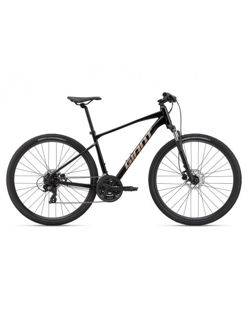 Vélo loisirs Giant ROAM 4 DISC