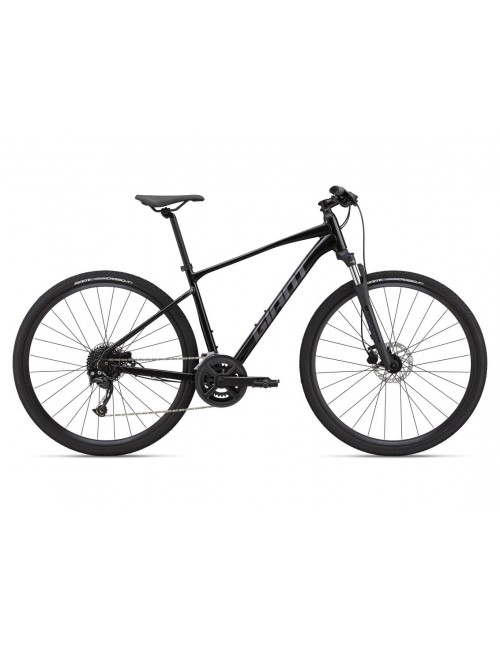 Vélo loisirs Giant ROAM 2 DISC